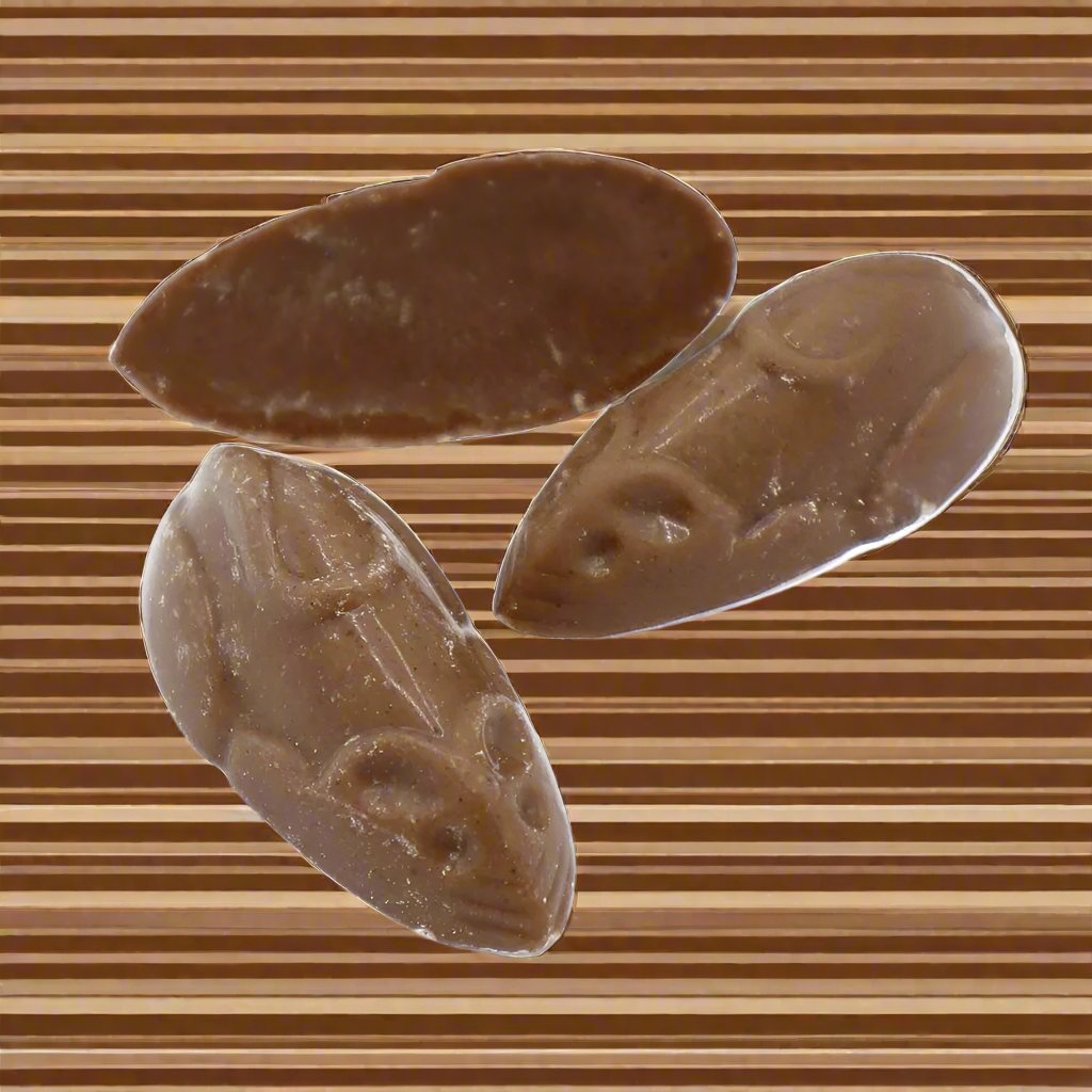 Hannah's Chocolate Mice 100g