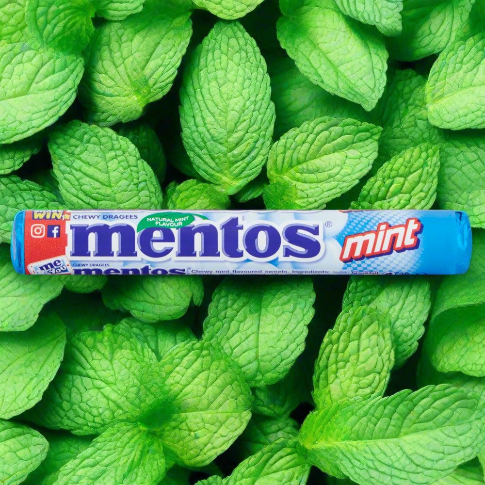 Mentos Mint Chewy Dragees 38g