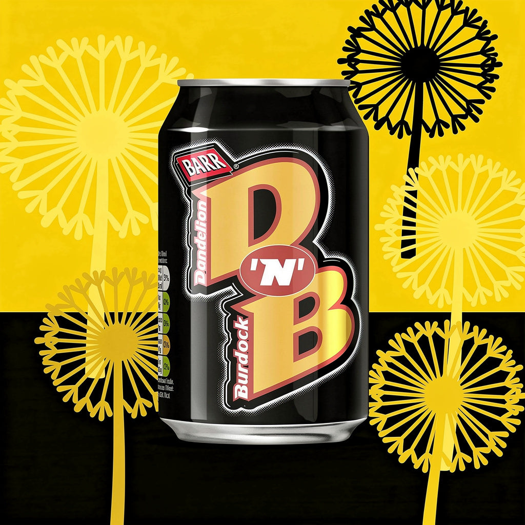 Barr Dandelion & Burdock Can 300ml