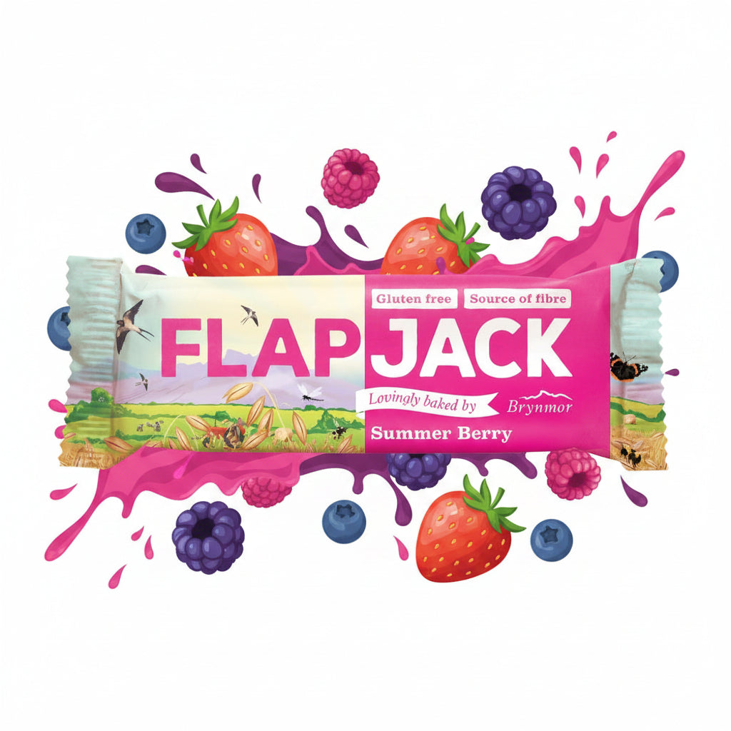 Brynmor Summer Berry Flap Jack 80g